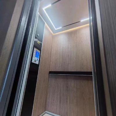 5Stops Hydraulic Lift For Home Size Mikroprocesor Controller In Low Headroom Aluminium Platform Lifts