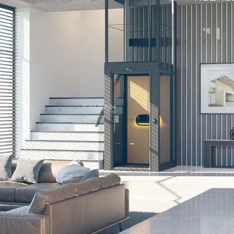 Winda domowa z napędem śrubowym 500 kg Małe windy dla domów