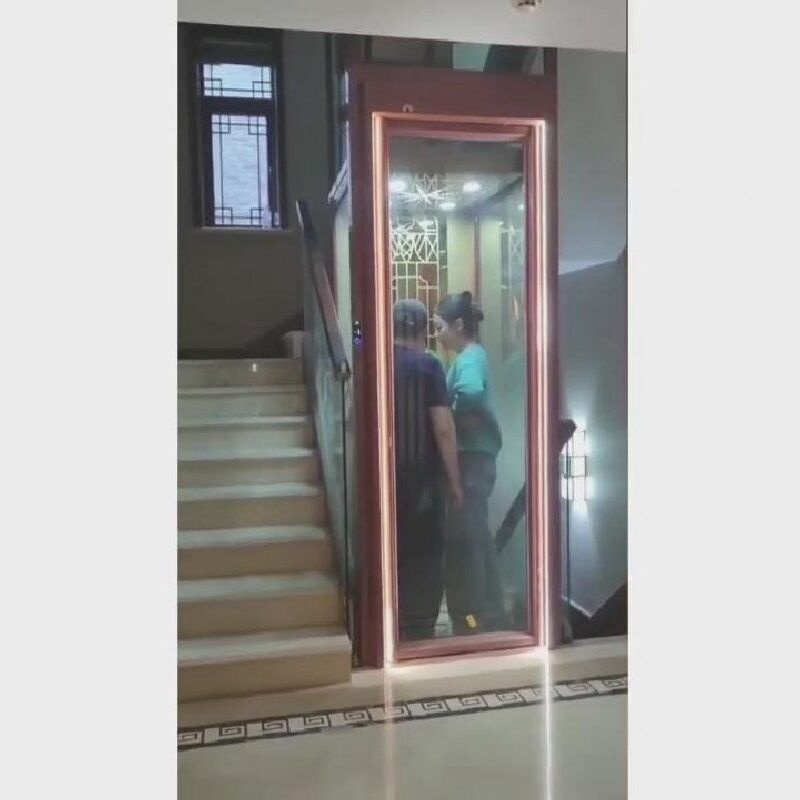 Claybank Home Elevator 0.2-0.4 M/S Centrum otwierające ramy ze stali nierdzewnej / aluminium