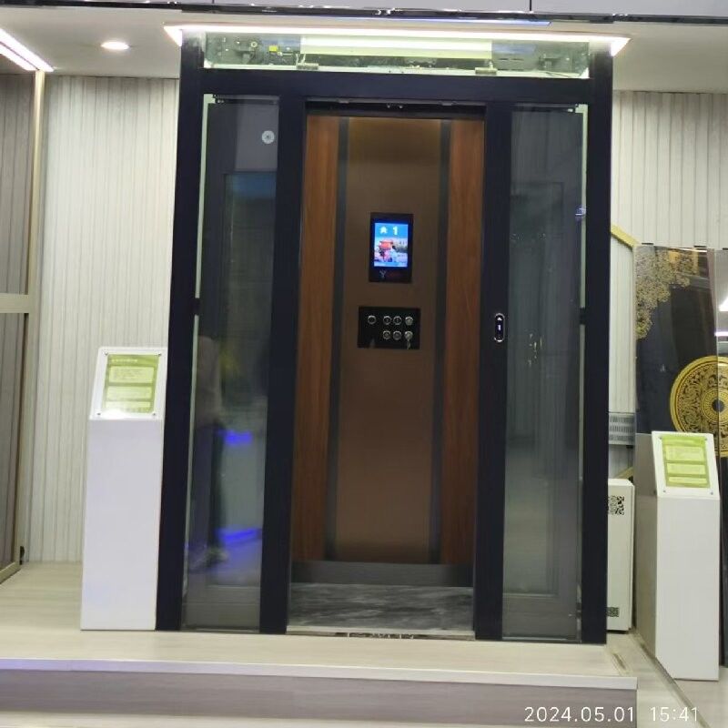 Elegantny domowy windę trakcyjną bez sprzętu 500-1000 kg pojemność automatyczne drzwi przesuwne