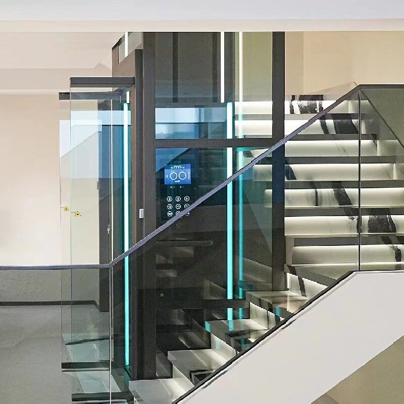 Do 30 m wysokości wędrówki windy domowe z czujnikami bezpieczeństwa i automatycznymi drzwiami przesuwnymi