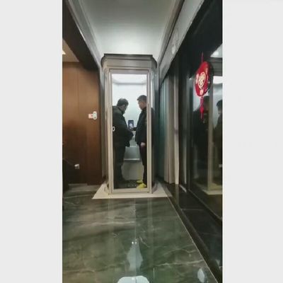 Stylowa winda kapsułowa do domu | Udźwig 500-1000kg